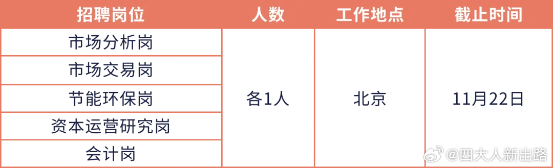 朝阳区统计局最新招聘启事详解